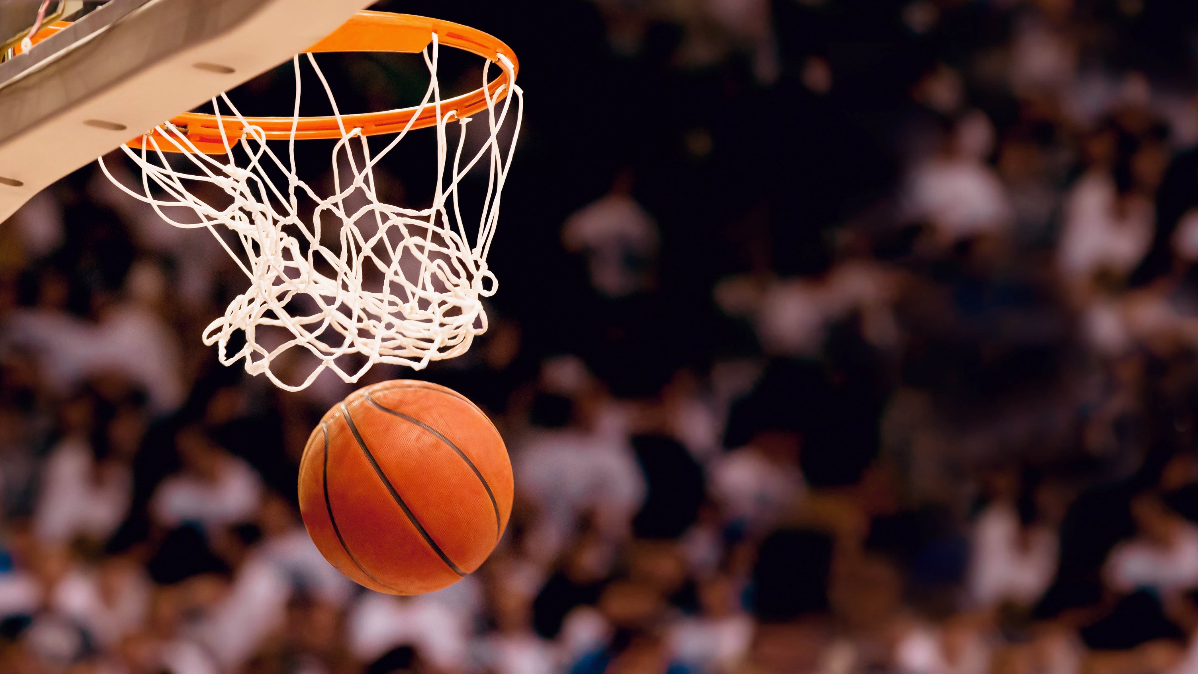 突尼斯斩落葡萄牙，NBA季后赛之外的体育奇迹