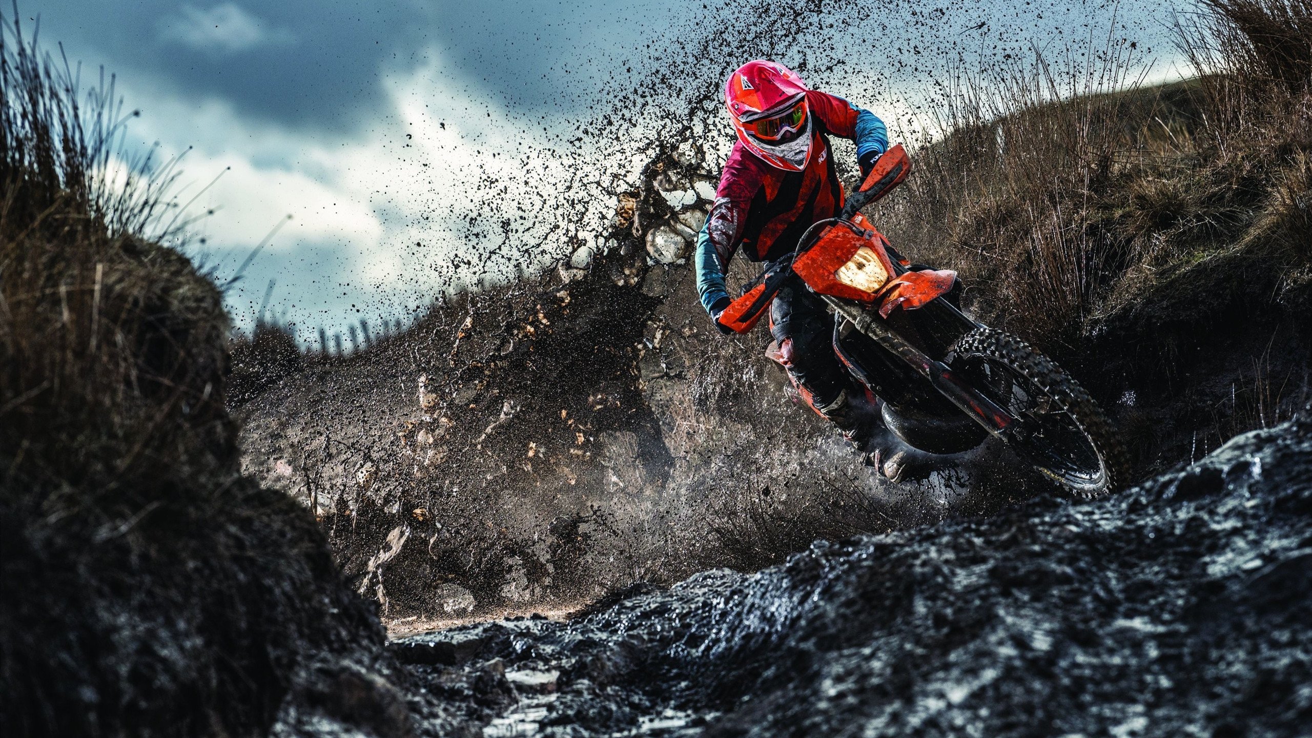 周冠宇的绝对统治，威廉姆斯车队横扫雷诺的战术革命